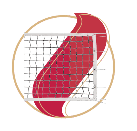 Red para set de voleibol oficial SPORT-TI
